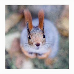 Squirrel Looks At You Medium Glasses Cloth (2-side) by FunnyCow