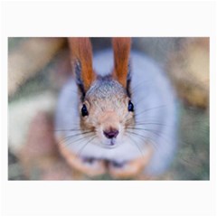 Squirrel Looks At You Large Glasses Cloth by FunnyCow