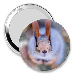 Squirrel Looks At You 3  Handbag Mirrors by FunnyCow