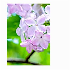 Elegant Pink Lilacs In Spring Large Garden Flag (two Sides) by FunnyCow