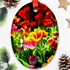 Colorful Tulips On A Sunny Day Oval Ornament (two Sides) by FunnyCow