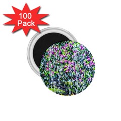 Lilacs Of The First Water 1 75  Magnets (100 Pack)  by FunnyCow