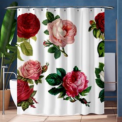 Roses 1770165 1920 Shower Curtain 60  X 72  (medium)  by vintage2030