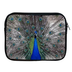 Peacock Bird Animals Pen Plumage Apple Ipad 2/3/4 Zipper Cases by Sapixe