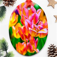 Blushing Tulip Flowers Ornament (oval) by FunnyCow