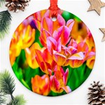 Blushing Tulip Flowers Round Ornament (Two Sides) Back