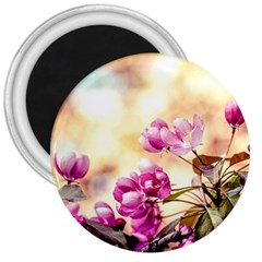 Paradise Apple Blossoms 3  Magnets by FunnyCow