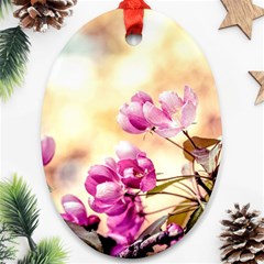 Paradise Apple Blossoms Ornament (oval) by FunnyCow