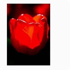 Red Tulip A Bowl Of Fire Large Garden Flag (two Sides) by FunnyCow