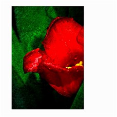 Red Tulip After The Shower Large Garden Flag (two Sides) by FunnyCow