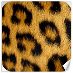 Animal Print Leopard Canvas 12  X 12  by NSGLOBALDESIGNS2