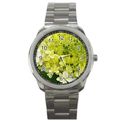 Elegant Chartreuse Green Limelight Hydrangea Macro Sport Metal Watch by myrubiogarden