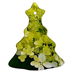 Elegant Chartreuse Green Limelight Hydrangea Macro Christmas Tree Ornament (two Sides) by myrubiogarden