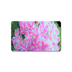 Hot Pink And White Peppermint Twist Garden Phlox Magnet (name Card) by myrubiogarden