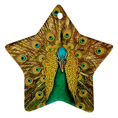 Peacock Feather Bird Peafowl Ornament (star) by Wegoenart