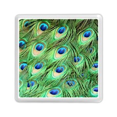 Peacock Feathers Peafowl Memory Card Reader (square) by Wegoenart