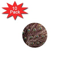 Peacock Feathers Wheel Plumage 1  Mini Magnet (10 Pack)  by Wegoenart