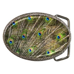 Peacock Feathers Color Plumag Belt Buckles by Wegoenart