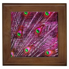 Peacock Feathers Color Plumage Framed Tiles by Wegoenart