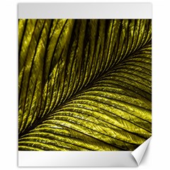 Feather Macro Bird Plumage Nature Canvas 16  X 20  by Wegoenart