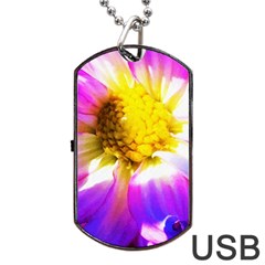 Purple, Pink And White Dahlia With A Bright Yellow Center Dog Tag Usb Flash (two Sides) by myrubiogarden