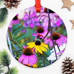 Yellow Flowers In The Purple Coneflower Garden Ornament (round) by myrubiogarden