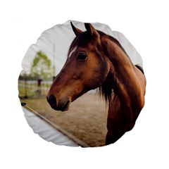 Arabian Horse Standard 15  Premium Round Cushions by WensdaiAmbrose