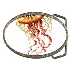 Animal Art Forms In Nature Jellyfish Belt Buckles by Wegoenart