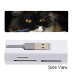 Cat Wanna Study Memory Card Reader (Stick) Front