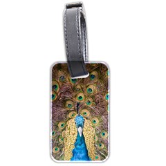 Peacock Feather Peacock Feather Luggage Tags (two Sides) by Pakrebo