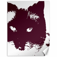 Cat Nature Design Animal Skin Pink Canvas 12  X 16 