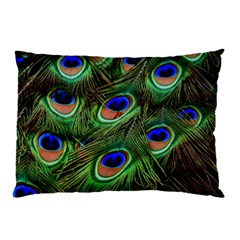 Peacock Feathers Plumage Iridescent Pillow Case (two Sides)