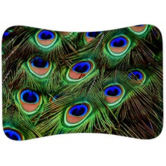 Peacock Feathers Plumage Iridescent Velour Seat Head Rest Cushion by HermanTelo