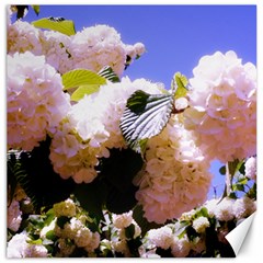 Pink Snowball Branch  Canvas 16  X 16 