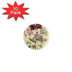 Botanical Print Antique Flora Plant 1  Mini Magnet (10 Pack)  by Pakrebo