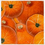 Pumpkin Halloween Fall Thanksgiving Canvas 20  x 20  19 x19.27  Canvas - 1