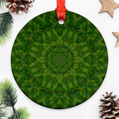 Fauna Nature Ornate Leaf Ornament (round) by pepitasart