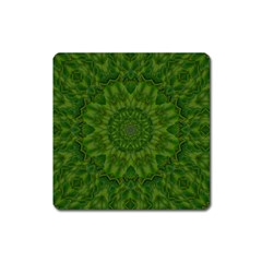 Fauna Nature Ornate Leaf Square Magnet by pepitasart