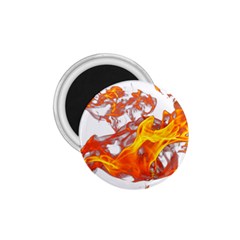 Can Walk On Volcano Fire, White Background 1 75  Magnets by picsaspassion