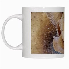 Close Up Mushroom Abstract White Mugs by Fractalsandkaleidoscopes