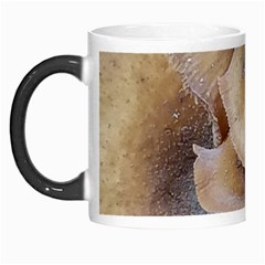 Close Up Mushroom Abstract Morph Mugs by Fractalsandkaleidoscopes