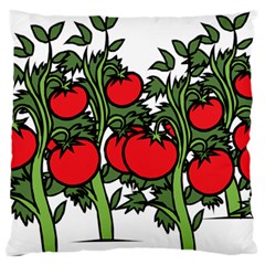 Tomato Garden Vine Plants Red Standard Flano Cushion Case (two Sides)