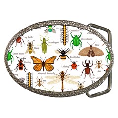 Insects Seamless Pattern Belt Buckles by Vaneshart