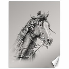 Custom Horse Canvas 12  X 16 