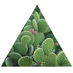 Green Cactus Wooden Puzzle Triangle by Sparkle