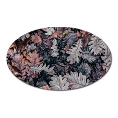 Autumn Leafs Oval Magnet by Sparkle