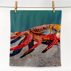 Colored Crab, Galapagos Island, Ecuador Face Towel by dflcprintsclothing