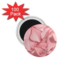 Coral Colored Hortensias Floral Photo 1 75  Magnets (100 Pack)  by dflcprintsclothing