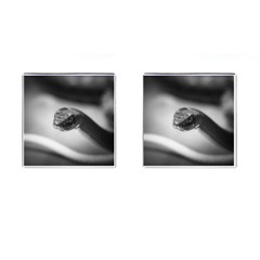 Black And White Snake Cufflinks (square) by ExtraAwesomeSauce