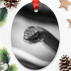 Black And White Snake Oval Ornament (two Sides) by ExtraAwesomeSauce